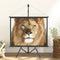 vidaXL - Projectiescherm - met - statief - 16:9 - 90''