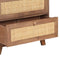 vidaXL - Dressoir - 61x35x76 - cm - massief - mangohout