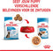 Royal Canin Maxi Natvoer - Puppy-Hondenvoer - 10x140 g