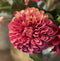 Emerald - Kunstbloem Dahlia Pompon 74cm roze - Kunstplanten voor binnen