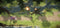 Outright Games Dragons: Dawn of New Riders - PS4 - Actie Avontuur
