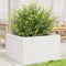 vidaXL - Plantenbak - 80x80x46 - cm - massief - grenenhout - wit