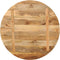 vidaXL - Tafelblad - rond - Ø - 80x3,8 - cm - massief - ruw - mangohout