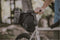 Topeak Backloader X - Zadeltas 10L - Waterdicht - Zwart