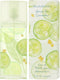 green tea cucumber edt 100 ml spray