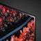 LG C9 OLED55C9PLA - 55 inch - 4K OLED - Dolby Vision - HDMI 2.1 (2019)