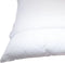DODO Pack 2 trendy kussens 60x60cm + 2 waterdichte kussenbeschermers 60x60cm - 100% Polyester vulling