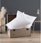 DODO Set van 2 middelgrote kussens - THE ESSENTIAL - 50x70 cm - 100% polyester