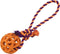 Dog chewing toy Gloria Grille Assorted colours (7 cm) (7 x 30 cm)