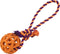 Dog chewing toy Gloria Grille Assorted colours (9 cm) (9 x 30 cm)