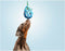 Dog chewing toy Gloria Grille Assorted colours (9 cm) (9 x 30 cm)