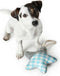 Dog chewing toy Hunter Salima With string Starfish Grey Puppies