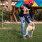 Dog coat Marvel Blue XS