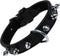 Dog collar Gloria Black Spikes (30 cm)