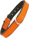 Dog collar Gloria Padded Orange (50 x 2,5 cm)