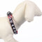 Dog collar Mickey Mouse XXS/XS Black