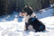 Dog harnass size s