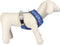 Dog Harness Stitch XS/S Dark blue