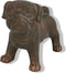 Dog Pugsy bruin