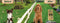 Dog Rocks - Hond - Tegen urinevlekken in gras - 100% natuurlijk 600 gram