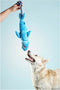 Dog toy Gloria Clint Shark
