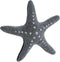 Dog toy Hunter Skagen Dark blue Starfish