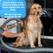 Dokx - Professionele Hondenfohn - Waterblazer voor Honden - Hondenfohn met 4 Opzetstukken - 2800W Verstelbaar Vermogen - Zwart