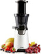 Domo DO9248J Slow Juicer - Sapcentrifuge - 150W - Health Booster - Wit/Zwart