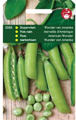 Doperwten Wonder Van Amerika