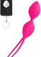 Dorcel - Divine Balls - Vibrerende Geisha Balletjes - Roze