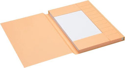 Dossiermap Jalema Secolor * folio * 225gr * ICN1 * chamois * 25 stuks