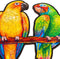 UNIDRAGON Houten Puzzel Voor Volwassenen Dier - Speelse Papegaaien - 104 stukjes - Small 33x19 cm