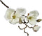 Countryfield Kunstbloem Magnolia Cinthya wit