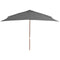 vidaXL - Parasol - met - houten - paal - 200x300 - cm - antraciet
