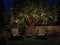 Paulmann Plug & Shine - LED-lichtketting - Warm wit IP44 3000K 7x0,2W