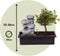 Plant in a Box - Bonsai boompje met Easy-care watersysteem én stromende waterval over Zen stenen - kamerplant - Hoogte 25-35cm