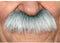 Snor My Other Me Viving Costumes_202812 Vrachtwagen