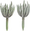 J-Line kunstplant Echeveria - kunststof - groen - small - 2 stuks