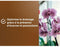 Orchideeëngrond - BRUIN GOUD - OBRTORC6U - 6L - Bevordert de groei