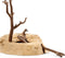 schleich WILD LIFE - Rustplaats voor Stokstaartjes - Speelfigurenset - Kinderspeelgoed voor Jongens en Meisjes - 3 tot 8 jaar - 10 Onderdelen
