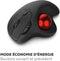 Draadloze muis - MOBILITY LAB - Trackball - Zwart