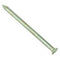 Draadnagel platkop verzinkt 1.6x25mm