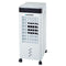 Draagbare Verdampingsluchtverfrisser Blaupunkt BP2016 65 W 8 L Wit