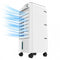 Draagbare Verdampingsluchtverfrisser Cecotec EnergySilence 3500 Cool Compact