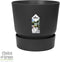 Dracaena Janet Lind in Elho® Greenville pot