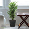 Dracaena Janet Lind in Elho® Greenville pot