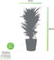 Dracaena Janet Lind in Elho® Greenville pot