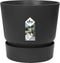 Dracaena Janet Lind in Elho® Greenville pot