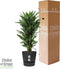 Dracaena Janet Lind in Elho® Greenville pot