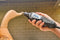 Dremel Hogesnelheidsfrees 6,4 mm - 117